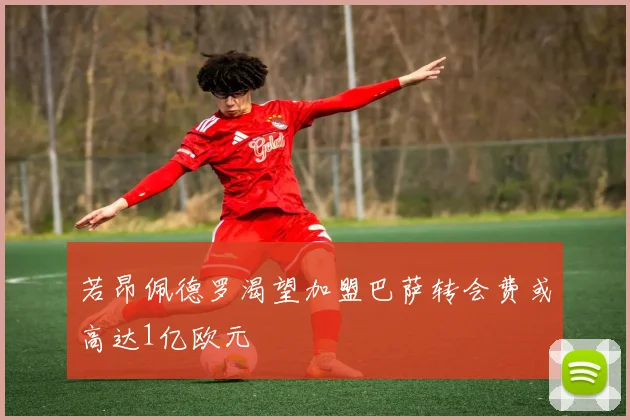 若昂佩德罗渴望加盟巴萨转会费或高达1亿欧元
